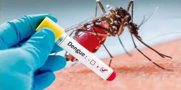 ജില്ലയിലെ ഡെങ്കി ഹോട്സ്പോട്ടുകള് ജില്ലയിലെ ഡെങ്കി ഹോട്സ്പോട്ടുകള്