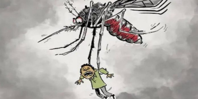 എറണാകുളത്ത് ഡെങ്കിപ്പനി പടരുന്നു ; മൂന്നാഴ്ചയ്ക്കിടെ ആറ് മരണം എറണാകുളത്ത് ഡെങ്കിപ്പനി പടരുന്നു ; മൂന്നാഴ്ചയ്ക്കിടെ ആറ് മരണം