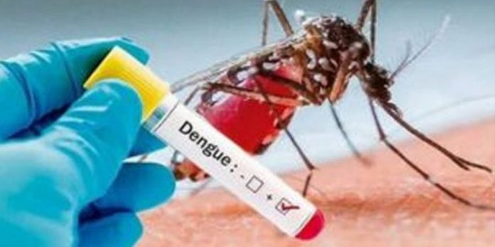 ഡെങ്കിപ്പനി – ശ്രദ്ധിക്കേണ്ട കാര്യങ്ങള് ഡെങ്കിപ്പനി – ശ്രദ്ധിക്കേണ്ട കാര്യങ്ങള്