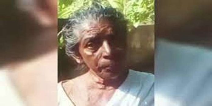 തൃശൂർ എളവള്ളിയിൽ തെങ്ങ് കടപുഴകി വീണ് പരിക്കേറ്റ വയോധിക മരിച്ചു തൃശൂർ എളവള്ളിയിൽ തെങ്ങ് കടപുഴകി വീണ് പരിക്കേറ്റ വയോധിക മരിച്ചു