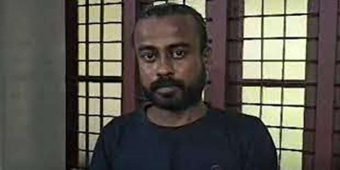 അഞ്ച് കഷ്ണങ്ങളാക്കി മുറിച്ച ആനക്കൊമ്പുമായി ആലപ്പുഴ സ്വദേശി കോഴിക്കോട് പിടിയില് അഞ്ച് കഷ്ണങ്ങളാക്കി മുറിച്ച ആനക്കൊമ്പുമായി ആലപ്പുഴ സ്വദേശി കോഴിക്കോട് പിടിയില്