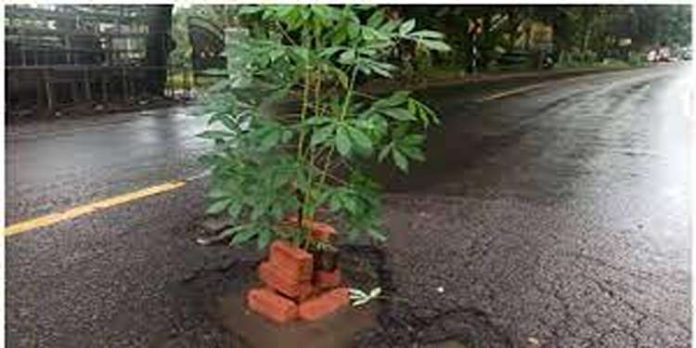 അമ്പലപ്പുഴ – തിരുവല്ല സംസ്ഥാന പാതയില് പൊതുജനം കുഴിയിൽ കപ്പ നട്ട് പ്രതിഷേധിച്ചു അമ്പലപ്പുഴ – തിരുവല്ല സംസ്ഥാന പാതയില് പൊതുജനം കുഴിയിൽ കപ്പ നട്ട് പ്രതിഷേധിച്ചു