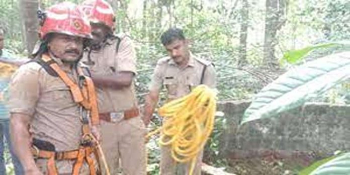 കിണറ്റില് വീണ മകളെ രക്ഷിക്കാന് 61കാരിയായ അമ്മയും ചാടി : ഇരുവരെയും രക്ഷപ്പെടുത്തി ഫയര്ഫോഴ്സ് കിണറ്റില് വീണ മകളെ രക്ഷിക്കാന് 61കാരിയായ അമ്മയും ചാടി : ഇരുവരെയും രക്ഷപ്പെടുത്തി ഫയര്ഫോഴ്സ്