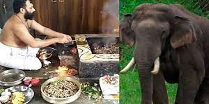 അരിക്കൊമ്പന്റെ സുരക്ഷയക്ക് വേണ്ടി വടക്കഞ്ചേരിയിൽ പ്രത്യേക പൂജ അരിക്കൊമ്പന്റെ സുരക്ഷയക്ക് വേണ്ടി വടക്കഞ്ചേരിയിൽ പ്രത്യേക പൂജ