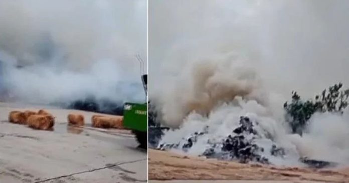 പാലക്കാട് ചകിരിമില്ലിൽ വൻ തീപിടുത്തം ; മില്ല് പൂർണമായും കത്തി നശിച്ചു പാലക്കാട് ചകിരിമില്ലിൽ വൻ തീപിടുത്തം ; മില്ല് പൂർണമായും കത്തി നശിച്ചു
