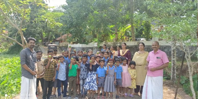 വയലാവടക്ക് എല്.പി സ്കൂളില് പരിസ്ഥിതി ദിനാഘോഷം സംഘടിപ്പിച്ചു വയലാവടക്ക് എല്.പി സ്കൂളില് പരിസ്ഥിതി ദിനാഘോഷം സംഘടിപ്പിച്ചു