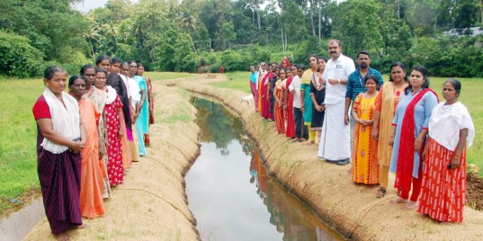 ഇരുവശവും ബലപ്പെടുത്തി ചെരുവിത്തോട് ഇരുവശവും ബലപ്പെടുത്തി ചെരുവിത്തോട്