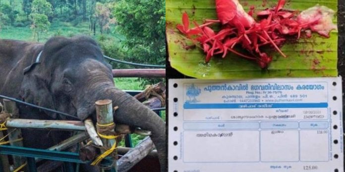 അരിക്കൊമ്പന് വേണ്ടി ശത്രുസംഹാര പൂജയും അരിക്കൊമ്പന് വേണ്ടി ശത്രുസംഹാര പൂജയും