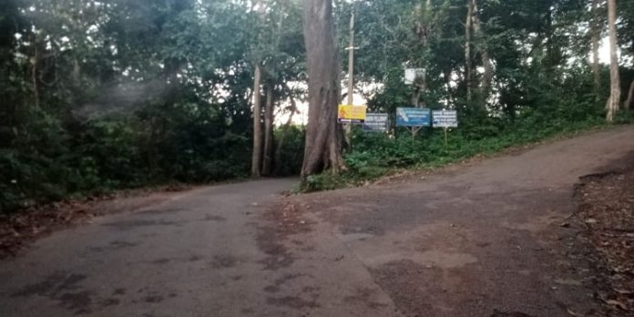 ദിശാ സൂചിക നശിച്ചതു മൂലം പെരുന്തേനരുവിയിലേക്കെത്തുന്ന യാത്രക്കാർ വലയുന്നു ദിശാ സൂചിക നശിച്ചതു മൂലം പെരുന്തേനരുവിയിലേക്കെത്തുന്ന യാത്രക്കാർ വലയുന്നു