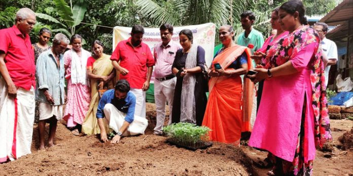 ഓണത്തെ വരവേല്ക്കാന് പൂ കൃഷി ആരംഭിച്ച് പന്തളം തെക്കേക്കര ഓണത്തെ വരവേല്ക്കാന് പൂ കൃഷി ആരംഭിച്ച് പന്തളം തെക്കേക്കര