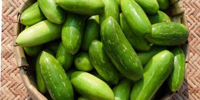 അമിത വണ്ണം അലട്ടുന്നുണ്ടോ ? കോവയ്ക്ക കഴിക്കു അമിത വണ്ണം അലട്ടുന്നുണ്ടോ ? കോവയ്ക്ക കഴിക്കു
