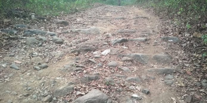 അഞ്ചുകുഴി കുടപ്പനക്കുളം റോഡ് സഞ്ചാര യോഗ്യമാക്കണം ; ആവിശ്യം ശക്തമാകുന്നു അഞ്ചുകുഴി കുടപ്പനക്കുളം റോഡ് സഞ്ചാര യോഗ്യമാക്കണം ; ആവിശ്യം ശക്തമാകുന്നു