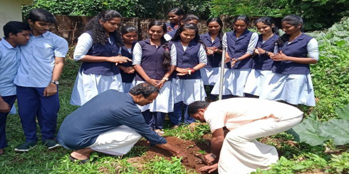 പരിസ്ഥിതി ദിനത്തില് വൃക്ഷത്തൈകള് നട്ടു പരിസ്ഥിതി ദിനത്തില് വൃക്ഷത്തൈകള് നട്ടു