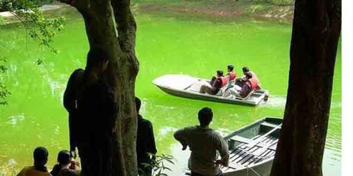 പാലരുവിയെ തഴുകി റോസ്മലയില് കേറാം പാലരുവിയെ തഴുകി റോസ്മലയില് കേറാം