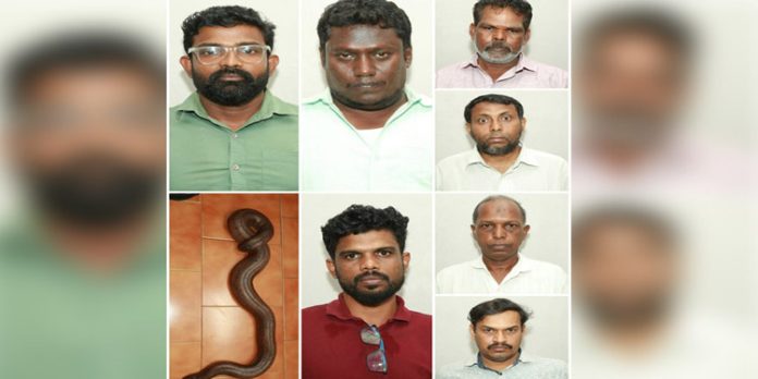 ഇരുതലമൂരിയുമായി ഹെല്ത്ത് ഇന്സ്പെക്ടറടക്കം ഏഴുപേര് പിടിയില് ഇരുതലമൂരിയുമായി ഹെല്ത്ത് ഇന്സ്പെക്ടറടക്കം ഏഴുപേര് പിടിയില്