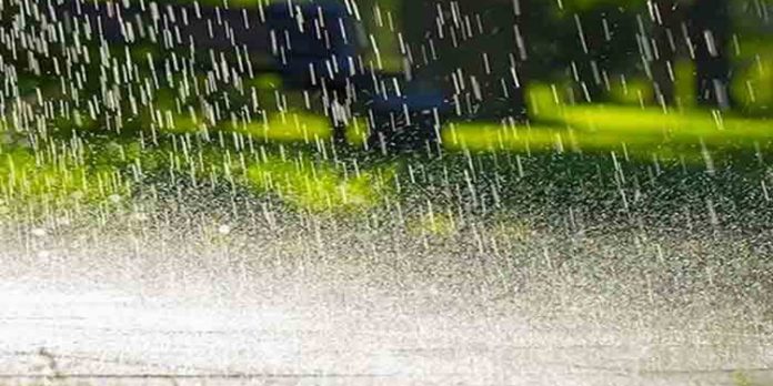 മഴക്കാലമെത്തി ; ഈ രോഗങ്ങളെ സൂക്ഷിക്കണം മഴക്കാലമെത്തി ; ഈ രോഗങ്ങളെ സൂക്ഷിക്കണം