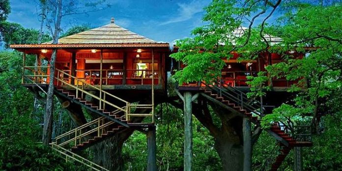 വന്യഭംഗിക്കൊപ്പം ഒരു രാത്രി ; കേരളത്തിലെ ഏഴ് ട്രീ ഹൗസുകൾ വന്യഭംഗിക്കൊപ്പം ഒരു രാത്രി ; കേരളത്തിലെ ഏഴ് ട്രീ ഹൗസുകൾ