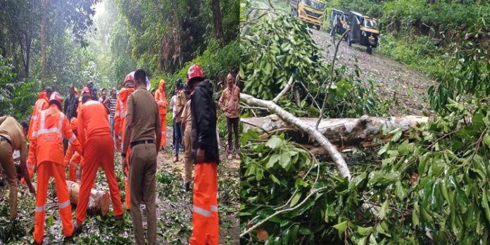 കാറ്റിലും മഴയിലും മരം ഒടിഞ്ഞ് വീണ് ഗതാഗതം തടസ്സപ്പെട്ടു കാറ്റിലും മഴയിലും മരം ഒടിഞ്ഞ് വീണ് ഗതാഗതം തടസ്സപ്പെട്ടു