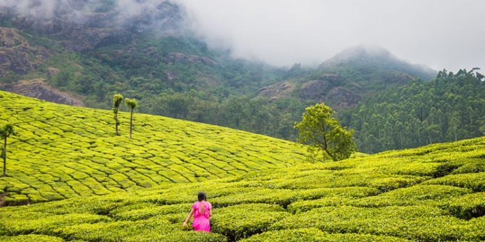 കേരളത്തിലെ റോഡുകളിലൂടെ ഒരു കിടു ട്രിപ്പ് പ്ലാന് ചെയ്താലോ ? കേരളത്തിലെ റോഡുകളിലൂടെ ഒരു കിടു ട്രിപ്പ് പ്ലാന് ചെയ്താലോ ?