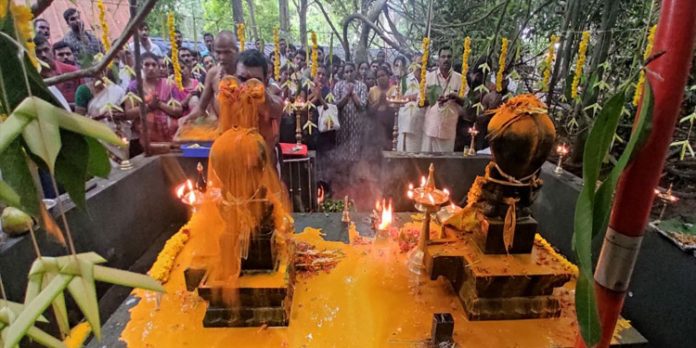 കല്ലേലി കാവില് നാഗ പൂജ സമര്പ്പിച്ചു കല്ലേലി കാവില് നാഗ പൂജ സമര്പ്പിച്ചു