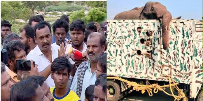 അരിക്കൊമ്പനെ കളക്കാട് കടുവാ സങ്കേതത്തിലേക്ക് എത്തിക്കുന്നതിൽ പ്രതിഷേധം അരിക്കൊമ്പനെ കളക്കാട് കടുവാ സങ്കേതത്തിലേക്ക് എത്തിക്കുന്നതിൽ പ്രതിഷേധം