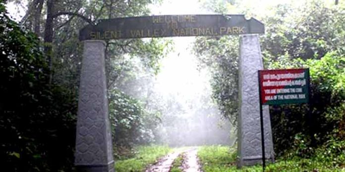 സൈലന്റ് വാലിയിൽ ജംഗിൾ സഫാരി ; കെഎസ്ആർടിസിയുടെ പാക്കേജ് വെറും 1250 രൂപക്ക് സൈലന്റ് വാലിയിൽ ജംഗിൾ സഫാരി ; കെഎസ്ആർടിസിയുടെ പാക്കേജ് വെറും 1250 രൂപക്ക്