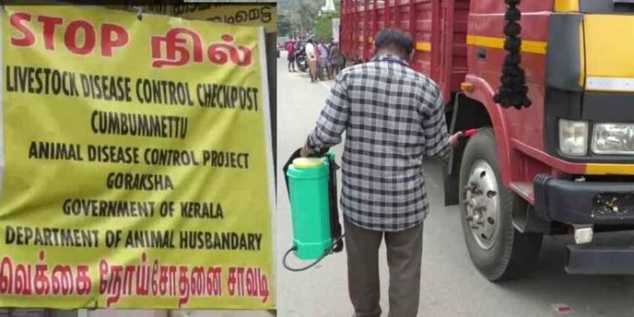 ഇടുക്കിയില് പന്നിപ്പനി ; കേരളത്തില് നിന്ന് പന്നിയിറച്ചിയടക്കം വിലക്കി തമിഴ്നാട് ഇടുക്കിയില് പന്നിപ്പനി ; കേരളത്തില് നിന്ന് പന്നിയിറച്ചിയടക്കം വിലക്കി തമിഴ്നാട്