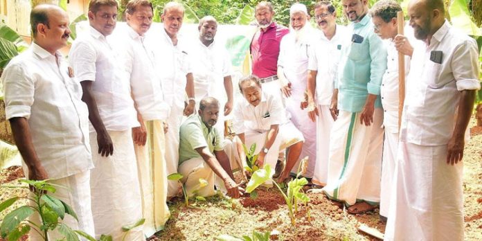 ഹരിത വനം സൃഷ്ടിക്കുന്ന പദ്ധതിക്ക് തുടക്കമായി ഹരിത വനം സൃഷ്ടിക്കുന്ന പദ്ധതിക്ക് തുടക്കമായി
