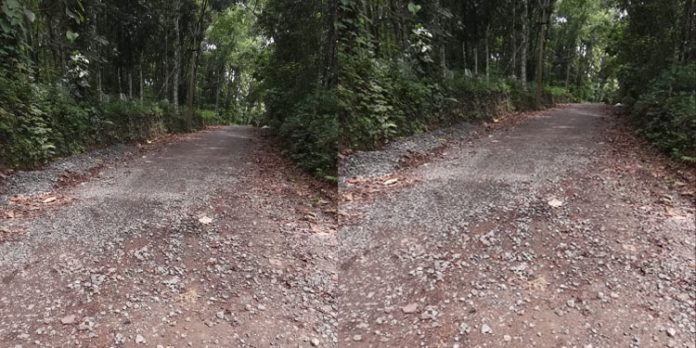 ഇടമുറി പാലം-ബംഗ്ലാവുപടി റോഡിന്റെ നിര്മ്മാണം ഇഴഞ്ഞുനീങ്ങുന്നു ഇടമുറി പാലം-ബംഗ്ലാവുപടി റോഡിന്റെ നിര്മ്മാണം ഇഴഞ്ഞുനീങ്ങുന്നു