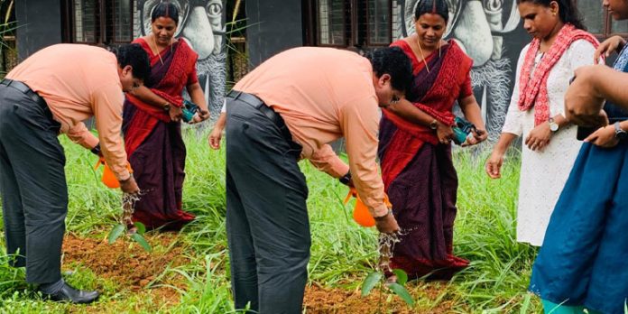സംസ്കൃത സർവ്വകലാശാലയിൽ ലോക പരിസ്ഥിതി ദിനം ആചരിച്ചു സംസ്കൃത സർവ്വകലാശാലയിൽ ലോക പരിസ്ഥിതി ദിനം ആചരിച്ചു