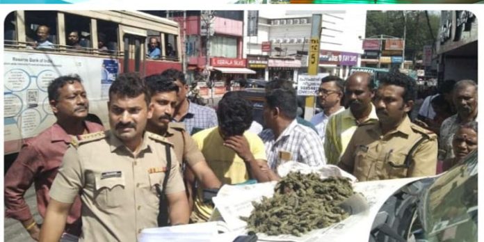 തിരുവല്ലയിൽ കഞ്ചാവുമായി എത്തിയ ഒഡീഷാ സ്വദേശിയെ എക്സൈസ് സംഘം പിടികൂടി തിരുവല്ലയിൽ കഞ്ചാവുമായി എത്തിയ ഒഡീഷാ സ്വദേശിയെ എക്സൈസ് സംഘം പിടികൂടി