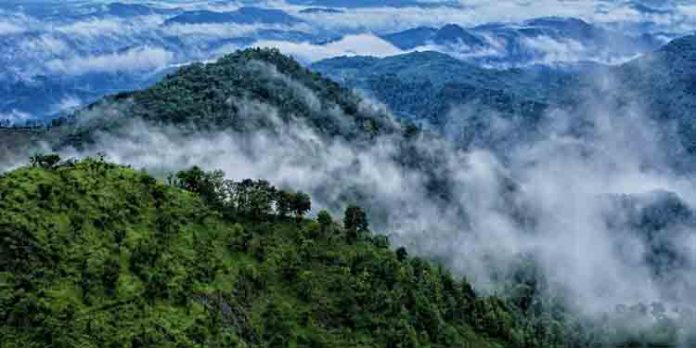 വയനാടെന്ന സ്വര്ഗഭൂമിയിലേക്ക് പോകാം വയനാടെന്ന സ്വര്ഗഭൂമിയിലേക്ക് പോകാം