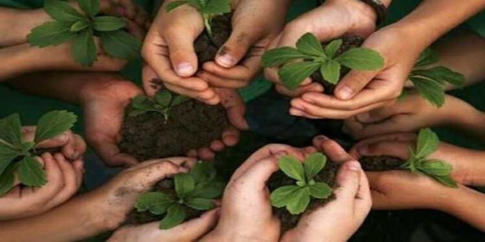 പരിസ്ഥിതി ദിനം ; വൃക്ഷവത്കരണത്തിനായി സജ്ജമാക്കിയത് 65 ഇനം തൈകൾ , വിദ്യാഭ്യാസ – സർക്കാർ സ്ഥാപനങ്ങൾക്ക് സൗജന്യമായി നൽകും പരിസ്ഥിതി ദിനം ; വൃക്ഷവത്കരണത്തിനായി സജ്ജമാക്കിയത് 65 ഇനം തൈകൾ , വിദ്യാഭ്യാസ – സർക്കാർ സ്ഥാപനങ്ങൾക്ക് സൗജന്യമായി നൽകും