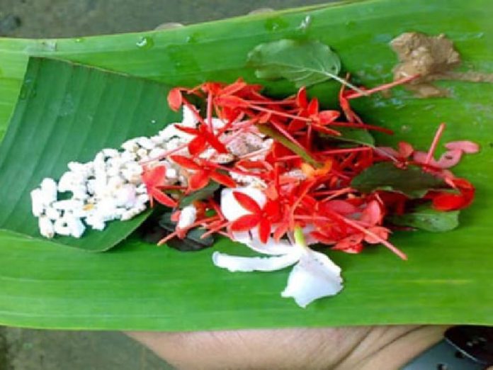 ഭാഗ്യസൂക്ത പുഷ്പാഞ്ജലി ; അരിക്കൊമ്പന് വഴിപാടുമായി ഭക്തർ ഭാഗ്യസൂക്ത പുഷ്പാഞ്ജലി ; അരിക്കൊമ്പന് വഴിപാടുമായി ഭക്തർ