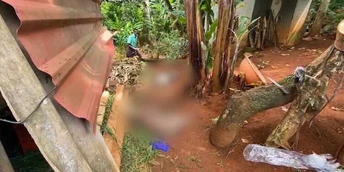 അജ്ഞാത ജീവി ആടുകളെ കടിച്ചുകൊന്നു ; പൂച്ച വർഗത്തിലുള്ള ജീവിയെന്ന് സംശയം അജ്ഞാത ജീവി ആടുകളെ കടിച്ചുകൊന്നു ; പൂച്ച വർഗത്തിലുള്ള ജീവിയെന്ന് സംശയം