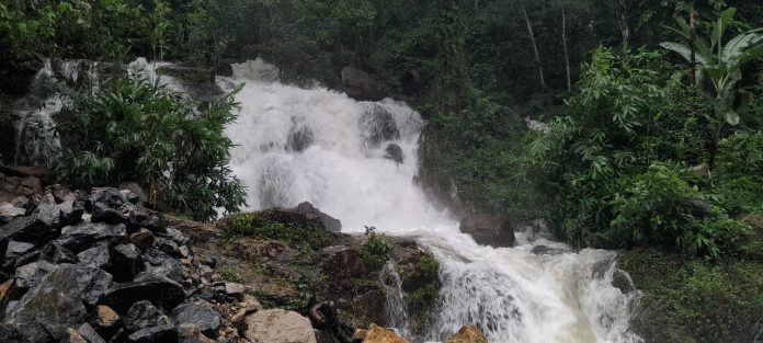 കനത്ത മഴയിൽ കോന്നിയിലെ വെള്ളച്ചാട്ടങ്ങൾക്ക് ഇത് പുതു ജീവൻ കനത്ത മഴയിൽ കോന്നിയിലെ വെള്ളച്ചാട്ടങ്ങൾക്ക് ഇത് പുതു ജീവൻ