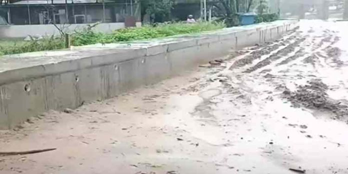 വീടുകളിലേക്കുള്ള വഴിമുടക്കി ദേശീയപാതാ ഡ്രൈനേജ് നിർമാണം; ദുരിതത്തിലായി വഴിയമ്പലത്തുകാര് വീടുകളിലേക്കുള്ള വഴിമുടക്കി ദേശീയപാതാ ഡ്രൈനേജ് നിർമാണം; ദുരിതത്തിലായി വഴിയമ്പലത്തുകാര്