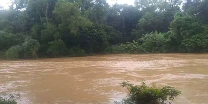 പമ്പ- അച്ചൻകോവിലാർ ജലനിരപ്പ് ഉയർന്നു; പത്തനംതിട്ടയിൽ ആശങ്ക പമ്പ- അച്ചൻകോവിലാർ ജലനിരപ്പ് ഉയർന്നു; പത്തനംതിട്ടയിൽ ആശങ്ക