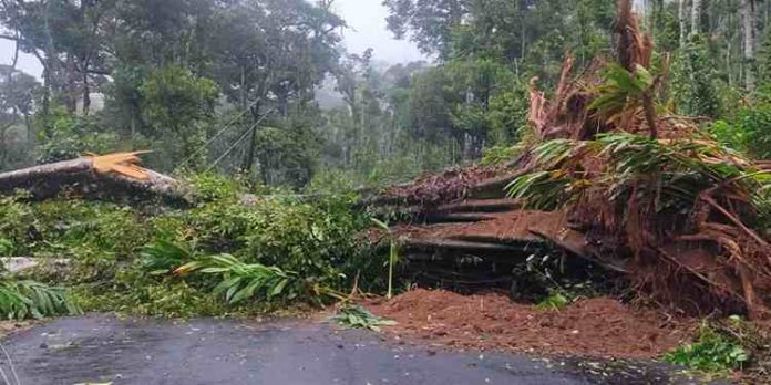 തോരാതെ പെരുമഴ: ജലനിരപ്പ് ഉയരുന്നു, കൊല്ലം ബീച്ചിന്റെ ഒരു ഭാഗം കടലെടുത്തു തോരാതെ പെരുമഴ: ജലനിരപ്പ് ഉയരുന്നു, കൊല്ലം ബീച്ചിന്റെ ഒരു ഭാഗം കടലെടുത്തു