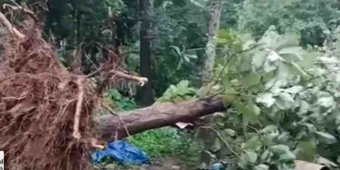 ചെർപ്പുളശ്ശേരി ചളവറയിൽ മിന്നൽ ചുഴലി ചെർപ്പുളശ്ശേരി ചളവറയിൽ മിന്നൽ ചുഴലി