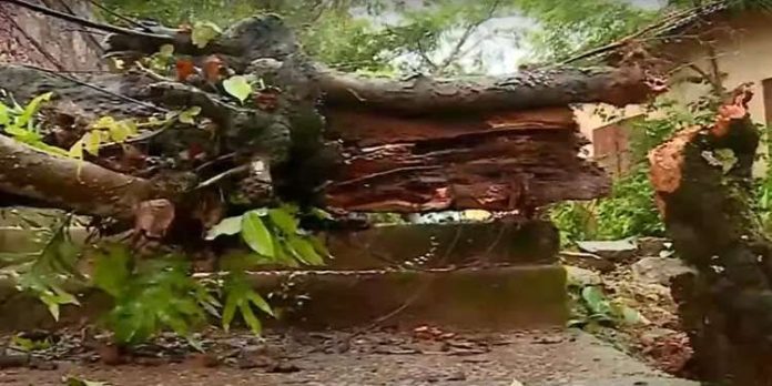 കനത്ത മഴയിൽ സംസ്ഥാനത്ത് വ്യാപക നാശനഷ്ടം; വീടുകളിൽ വെള്ളം കയറി, കുടുംബങ്ങൾ ഒറ്റപ്പെട്ടു കനത്ത മഴയിൽ സംസ്ഥാനത്ത് വ്യാപക നാശനഷ്ടം; വീടുകളിൽ വെള്ളം കയറി, കുടുംബങ്ങൾ ഒറ്റപ്പെട്ടു