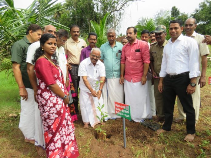 വന മഹോത്സവം ; തിരുവല്ല ശ്രീവല്ലഭ ക്ഷേത്രാങ്കണത്തിൽ രാശി വനം സ്ഥാപിച്ചു വന മഹോത്സവം ; തിരുവല്ല ശ്രീവല്ലഭ ക്ഷേത്രാങ്കണത്തിൽ രാശി വനം സ്ഥാപിച്ചു