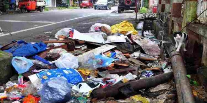ഓട്ടോയിൽ മാലിന്യം തള്ളുന്നത് ഫോണിൽ പകർത്തി: കോർപ്പറേഷൻ ജീവനക്കാരനെ മർദിച്ചു , ഫോണുമായി കടന്നു ; അറസ്റ്റ് ഓട്ടോയിൽ മാലിന്യം തള്ളുന്നത് ഫോണിൽ പകർത്തി: കോർപ്പറേഷൻ ജീവനക്കാരനെ മർദിച്ചു , ഫോണുമായി കടന്നു ; അറസ്റ്റ്