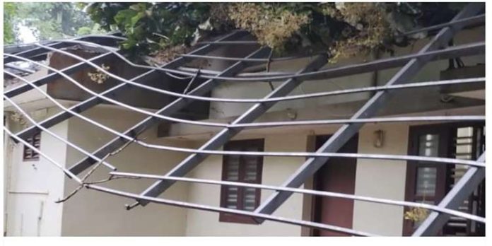 ചെങ്ങന്നൂരിൽ മരങ്ങൾ കടപുഴകി വ്യാപക നാശനഷ്ടം ചെങ്ങന്നൂരിൽ മരങ്ങൾ കടപുഴകി വ്യാപക നാശനഷ്ടം