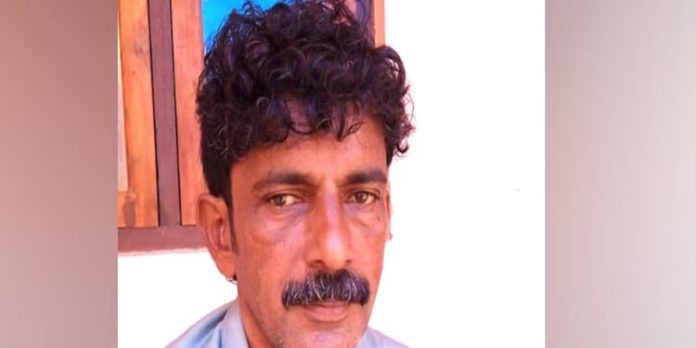 മരം മുറിക്കുന്നതിനിടെ തടി ദേഹത്ത് വീണ് തൊഴിലാളി മരിച്ചു മരം മുറിക്കുന്നതിനിടെ തടി ദേഹത്ത് വീണ് തൊഴിലാളി മരിച്ചു