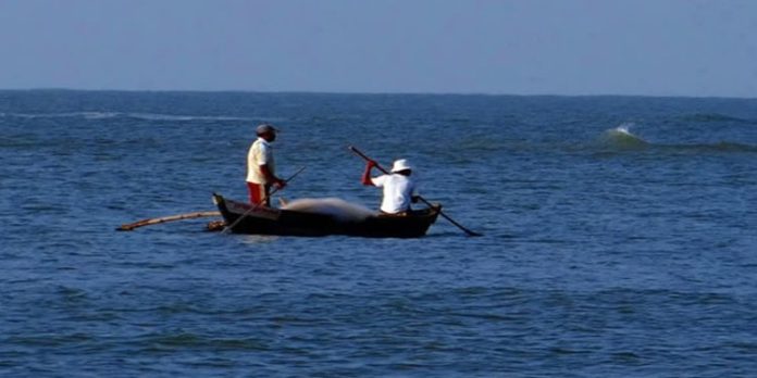 മുതലപ്പൊഴിയിൽ നിയന്ത്രണം : മുന്നറിയിപ്പുള്ള ദിവസങ്ങളിൽ മൽസ്യബന്ധനം വിലക്കാൻ നീക്കം മുതലപ്പൊഴിയിൽ നിയന്ത്രണം : മുന്നറിയിപ്പുള്ള ദിവസങ്ങളിൽ മൽസ്യബന്ധനം വിലക്കാൻ നീക്കം