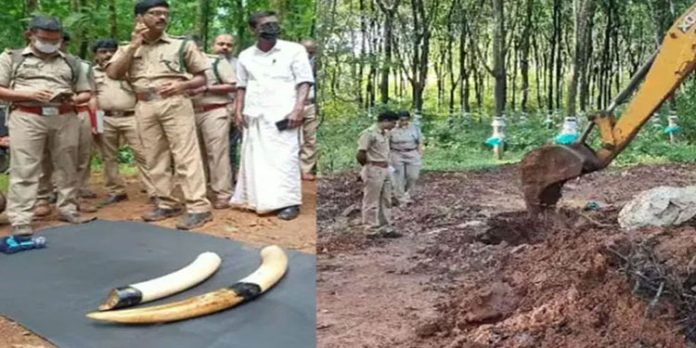 ആനക്കൊല ; ആനക്കൊമ്പ് കടത്തിയ കാർ പിടികൂടി, ഉടമ ഒളിവിലെന്ന് വനംവകുപ്പ് ആനക്കൊല ; ആനക്കൊമ്പ് കടത്തിയ കാർ പിടികൂടി, ഉടമ ഒളിവിലെന്ന് വനംവകുപ്പ്