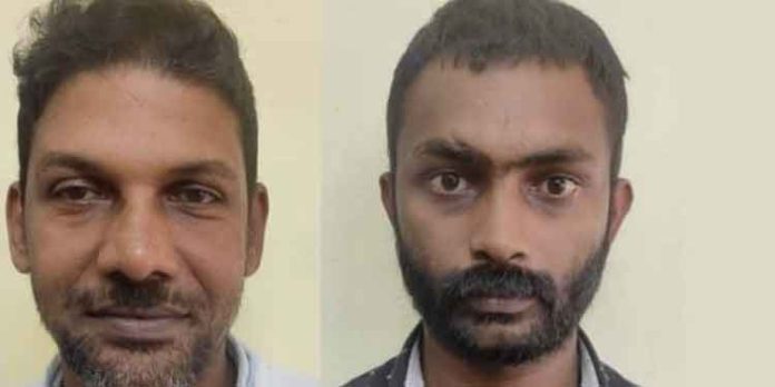 വളർത്തു പോത്തുകളെ മോഷ്ടിച്ചു ; കേസിൽ കൂടുതൽ പ്രതികൾ അറസ്റ്റിൽ വളർത്തു പോത്തുകളെ മോഷ്ടിച്ചു ; കേസിൽ കൂടുതൽ പ്രതികൾ അറസ്റ്റിൽ