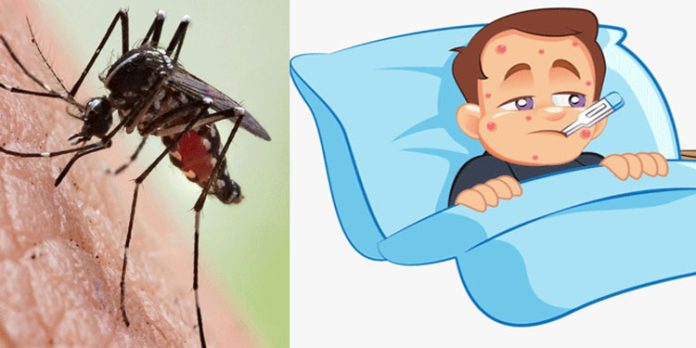 ഡെങ്കിപ്പനി ; സംസ്ഥാനത്ത് 138 ഹോട്സ്പോട്ടുകൾ, കൊല്ലത്തും കോഴിക്കോടും 20 മേഖലകൾ ഡെങ്കിപ്പനി ; സംസ്ഥാനത്ത് 138 ഹോട്സ്പോട്ടുകൾ, കൊല്ലത്തും കോഴിക്കോടും 20 മേഖലകൾ