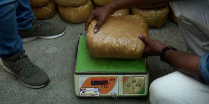 തിരുവനന്തപുരത്ത് വന് ലഹരിവേട്ട ; കഞ്ചാവും എംഡിഎംഎയും പിടികൂടി തിരുവനന്തപുരത്ത് വന് ലഹരിവേട്ട ; കഞ്ചാവും എംഡിഎംഎയും പിടികൂടി